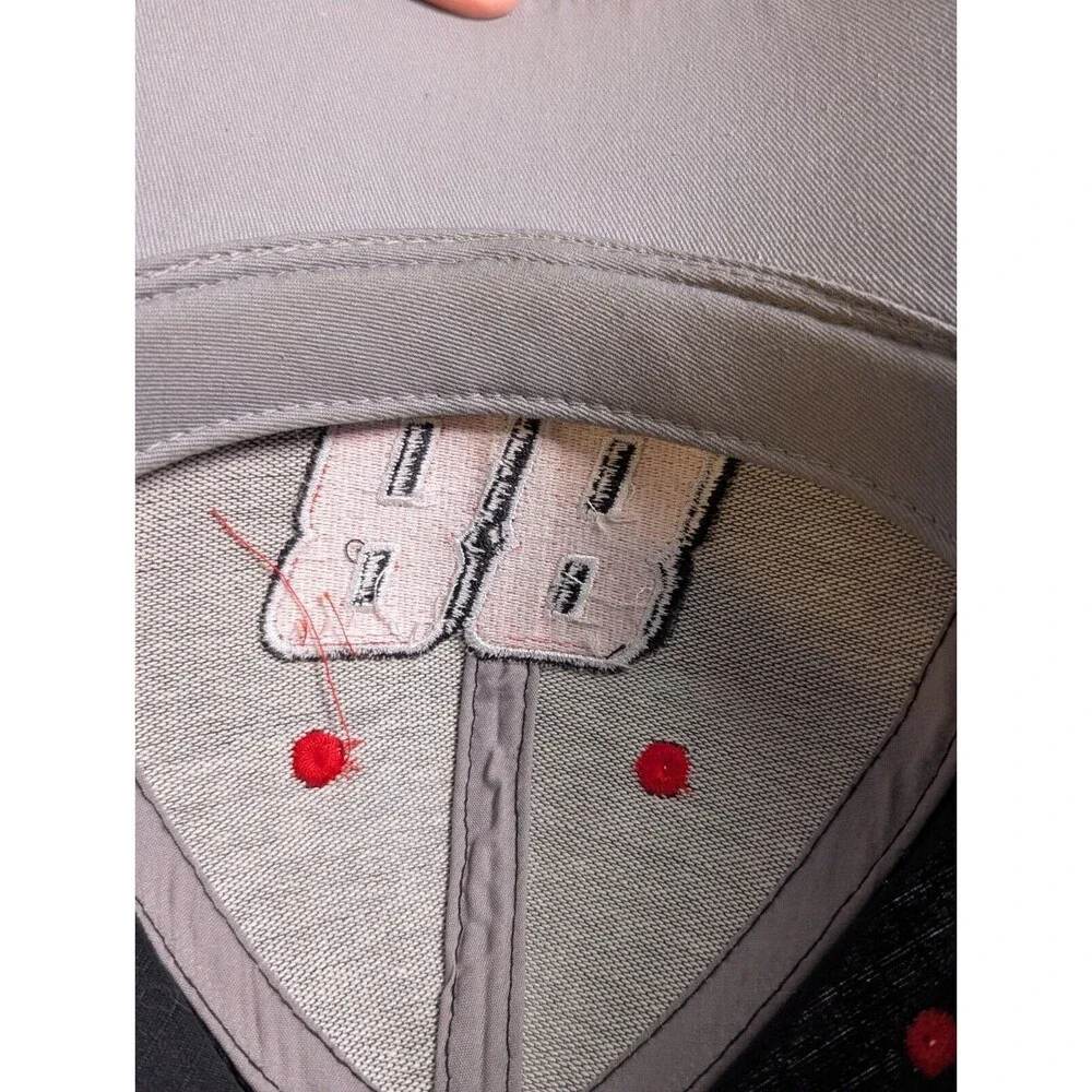 Dale Earnhardt Jr Hat Cap Strap Back Mens NASCAR Racing #88